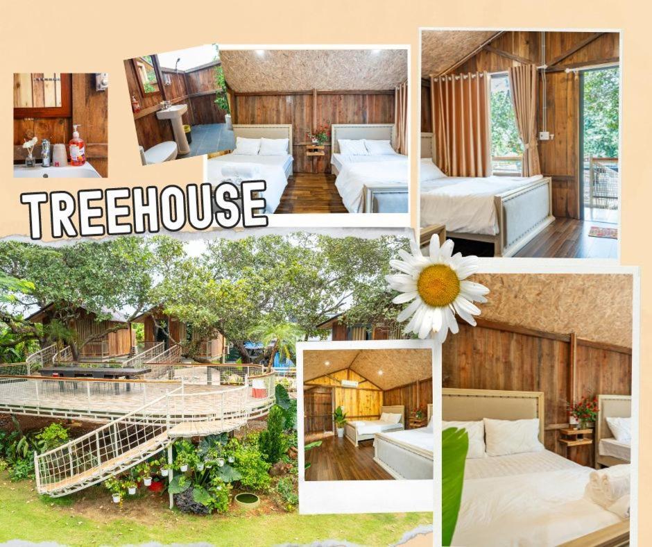 Greenfield Farmstay Vung Tau Bà Rịa Eksteriør bilde