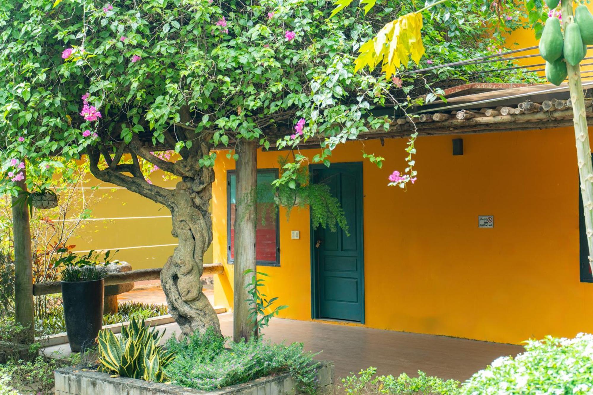 Greenfield Farmstay Vung Tau Bà Rịa Eksteriør bilde
